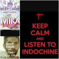 Indofan11